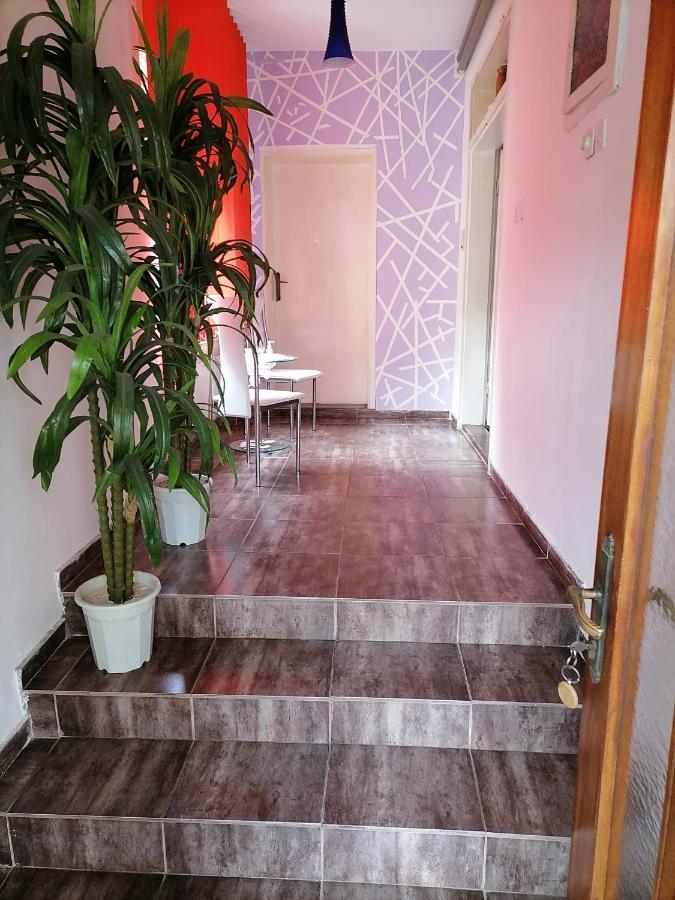 Smestaj U Okviru Domacinstva Sobe Sosa Palic Bagian luar foto