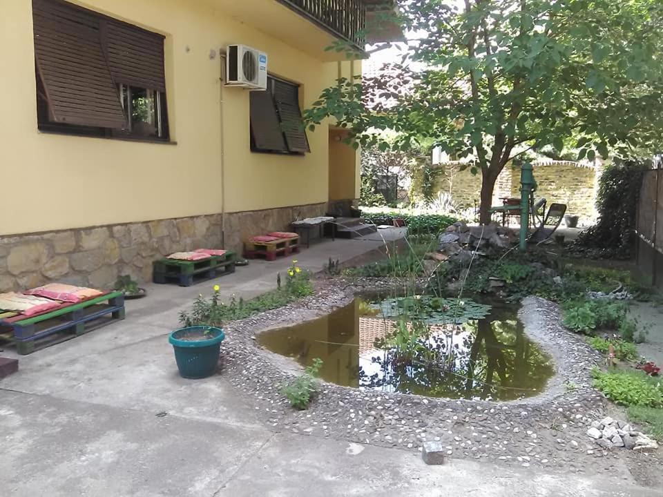 Smestaj U Okviru Domacinstva Sobe Sosa Palic Bagian luar foto